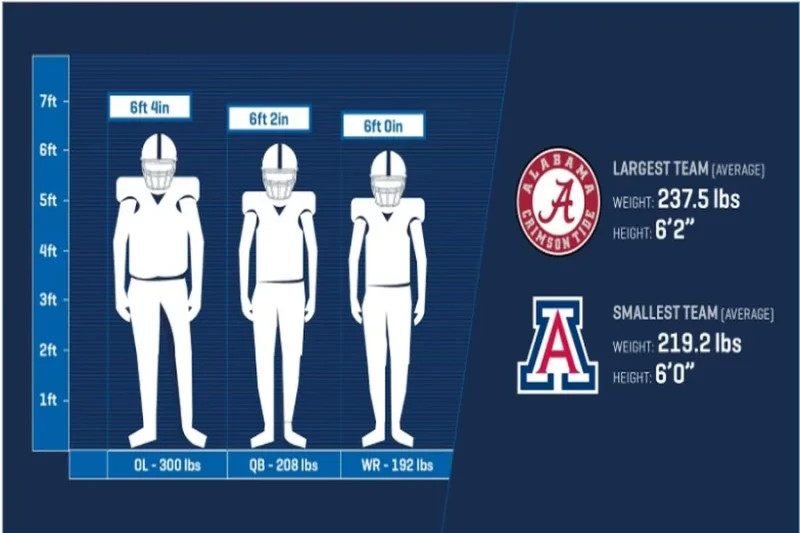 Average NFL Height and Weight by Position – A Data-Driven Guide to Building Champions