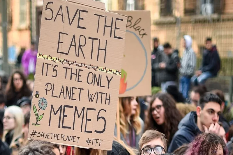 How Memes Became a Part of Entertainment Culture