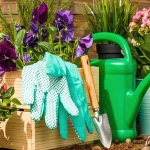 10 Landscaping Supplies Useful In Your Garden