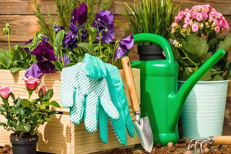 10 Landscaping Supplies Useful In Your Garden